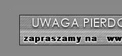 PIERDOLNI�TE FORUM Strona G��wna